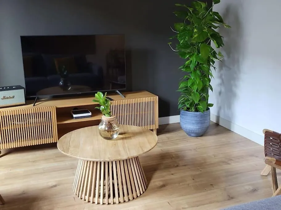 Canela Homes Barcelona Style Spanien